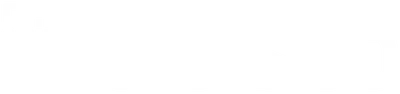 Vidisco